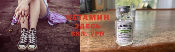 шишки Алексин