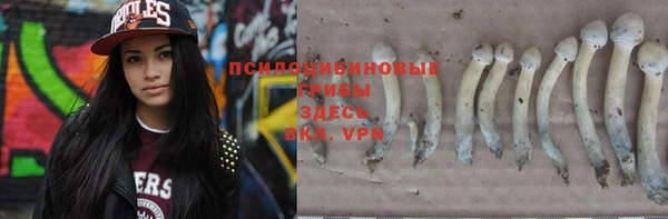 шишки Алексин