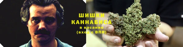 шишки Алексин