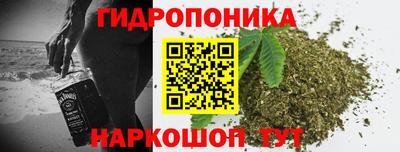 амф Славгород