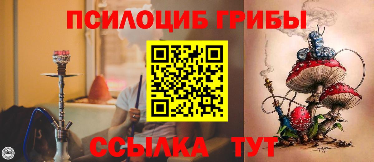 Строитель  Галлюциногенные грибы GOLDEN TEACHER  Вход с VPN 