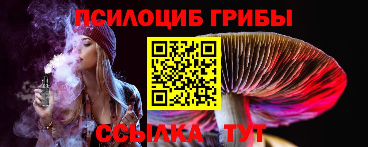 Галлюциногенные грибы Cubensis Строитель